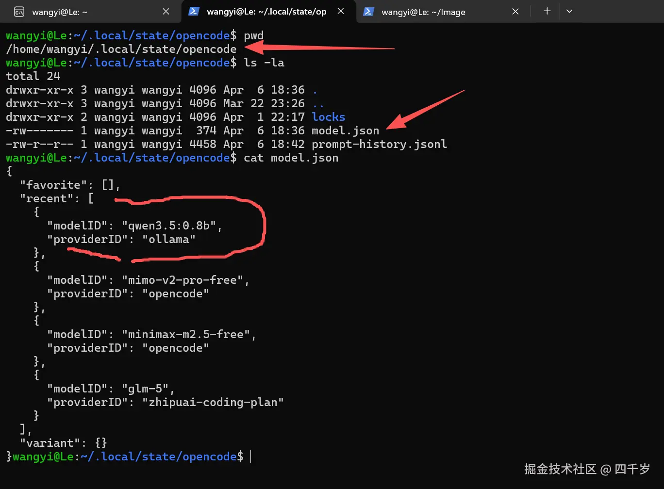 查看Ollama修改后的model.json配置文件