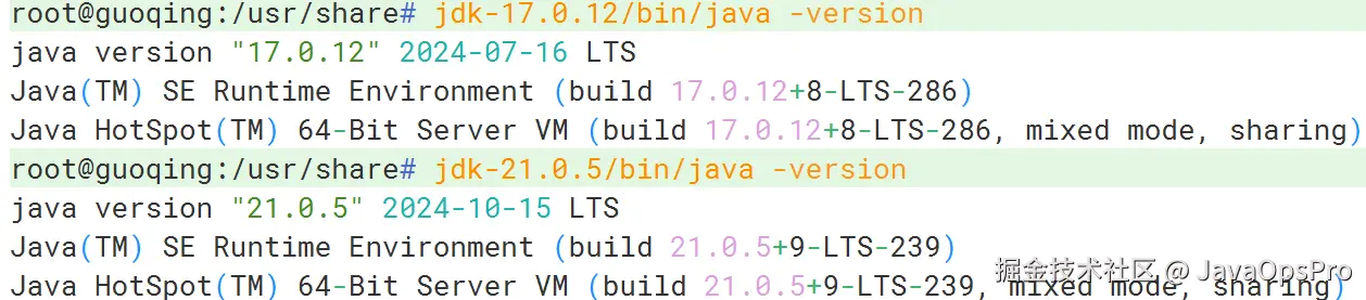 image-20241023212551750