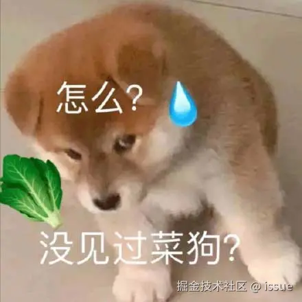 菜狗.jpg