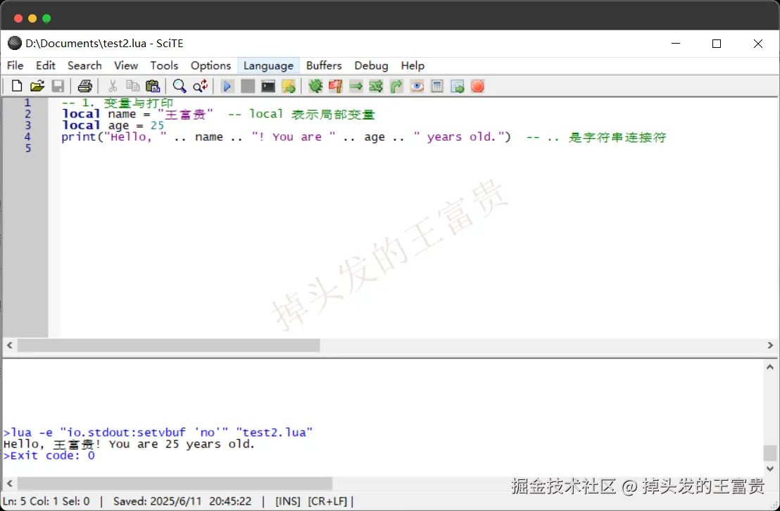 image-20250611204535478