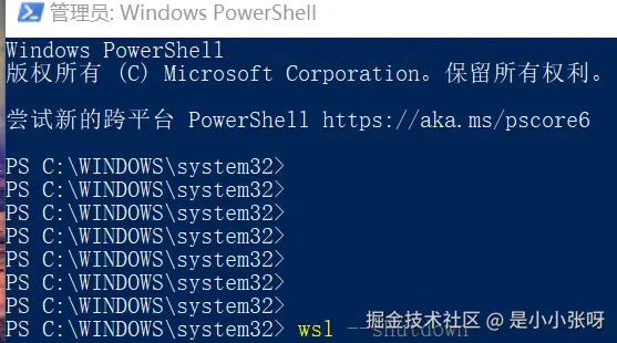 image-20260318172109839