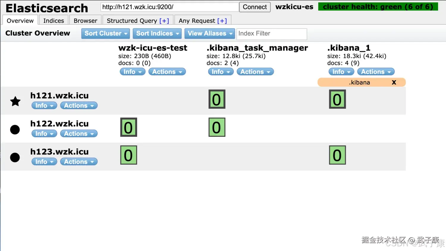 Elasticsearch 查看索引