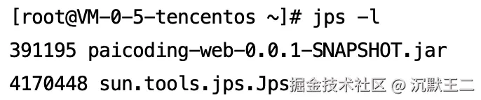 二哥的 Java 进阶之路：jps 查看技术派的进程 ID