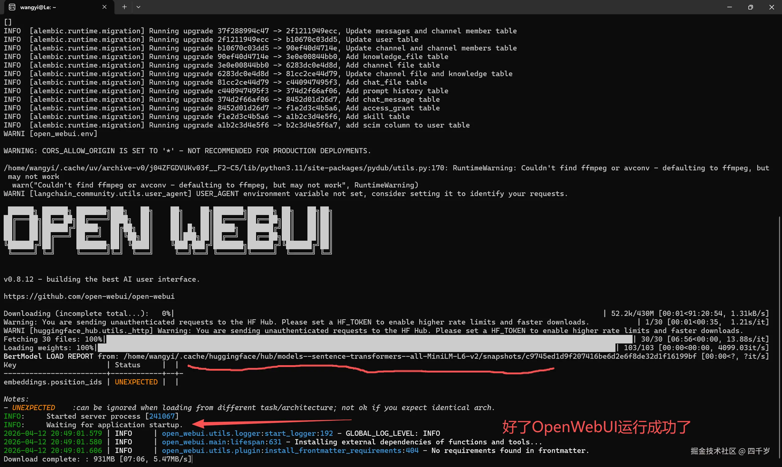 OpenWebUI运行成了