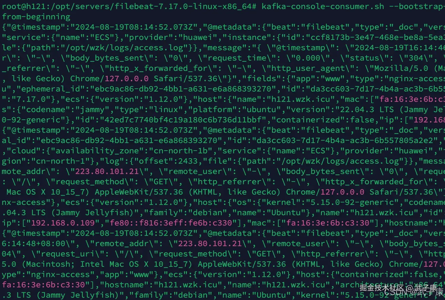 FileBeat Kafka消费者启动