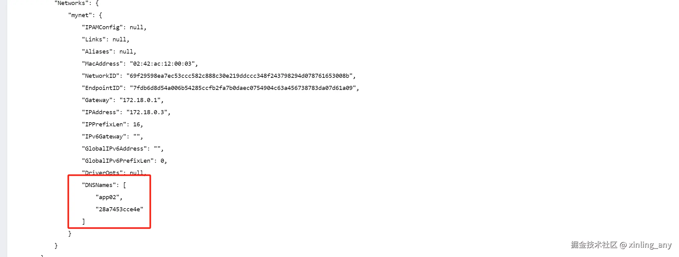 image-20240822101133486