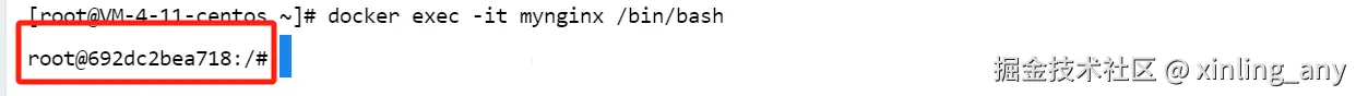 image-20240821114117492