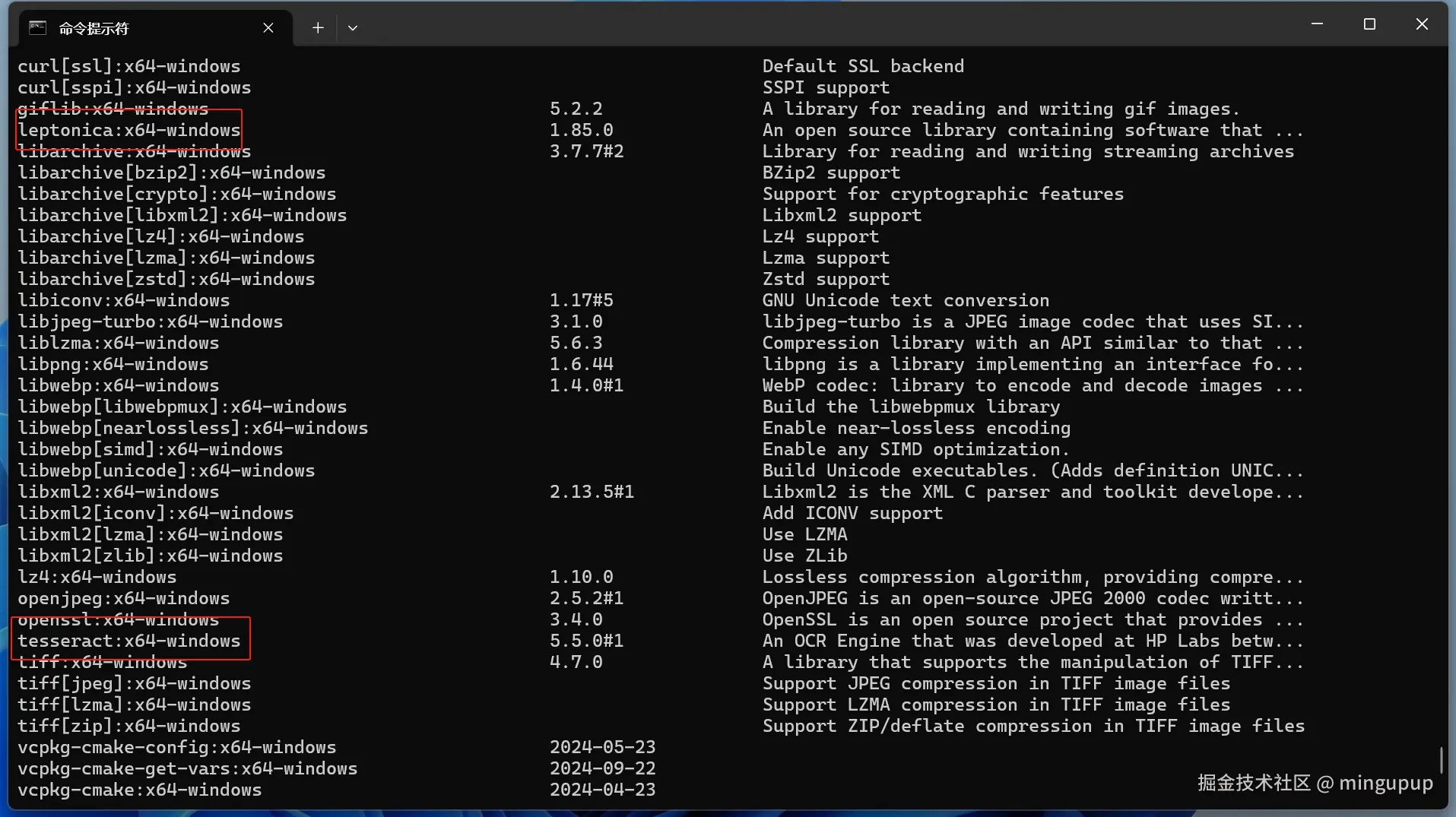 image-20241226110859781