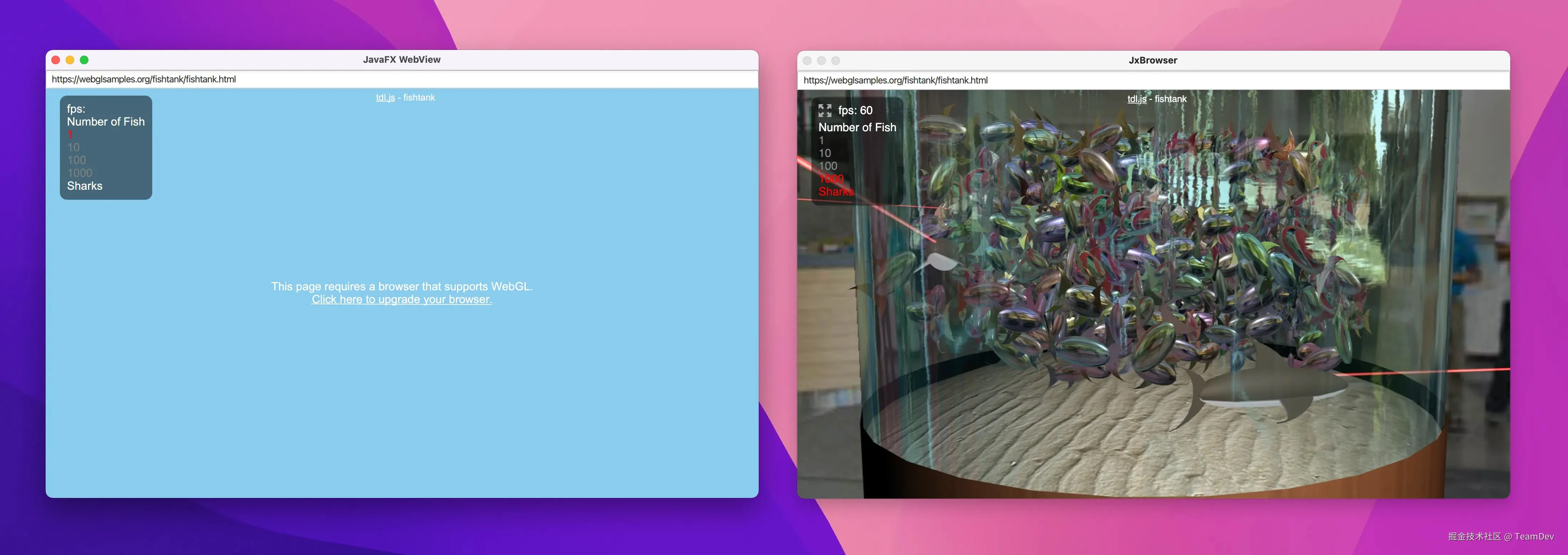 JavaFX WebView 和 JxBrowser 对 WebGL 的支持情况