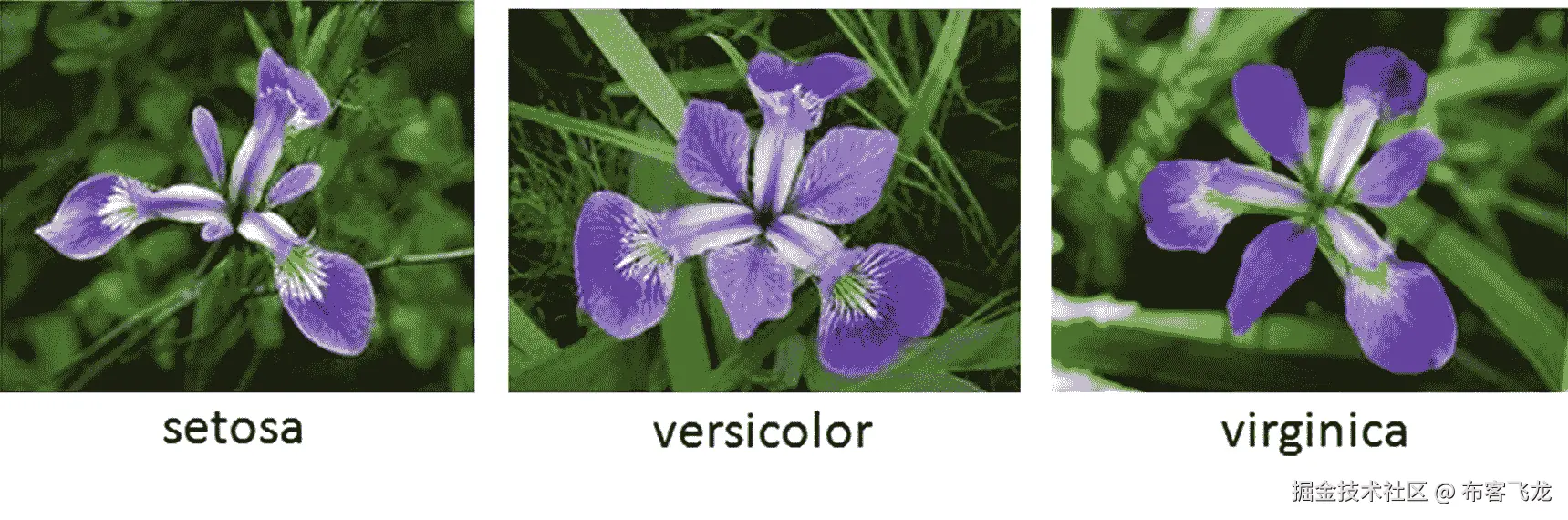 img/434293_2_En_3_Fig4_HTML.jpg