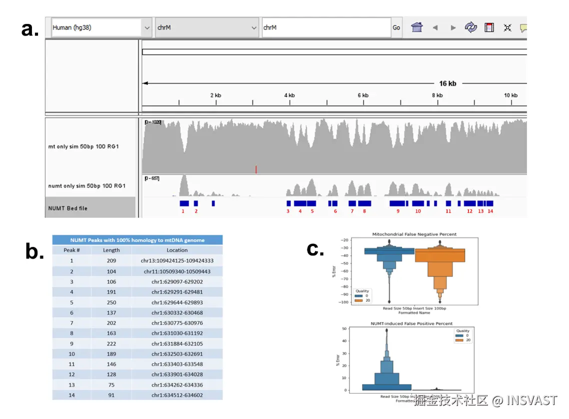 图3  模拟mtDNA和NUMT序列读段分析 a) 展示与线粒体基因组比对的模拟mtDNA和NUMT读段，发现14个无法区分的位点。 b) 展示NUMT和线粒体基因组序列高度同源重叠区段。 c) 以箱线图展示不同映射质量下的假阴性和假阳性百分比。