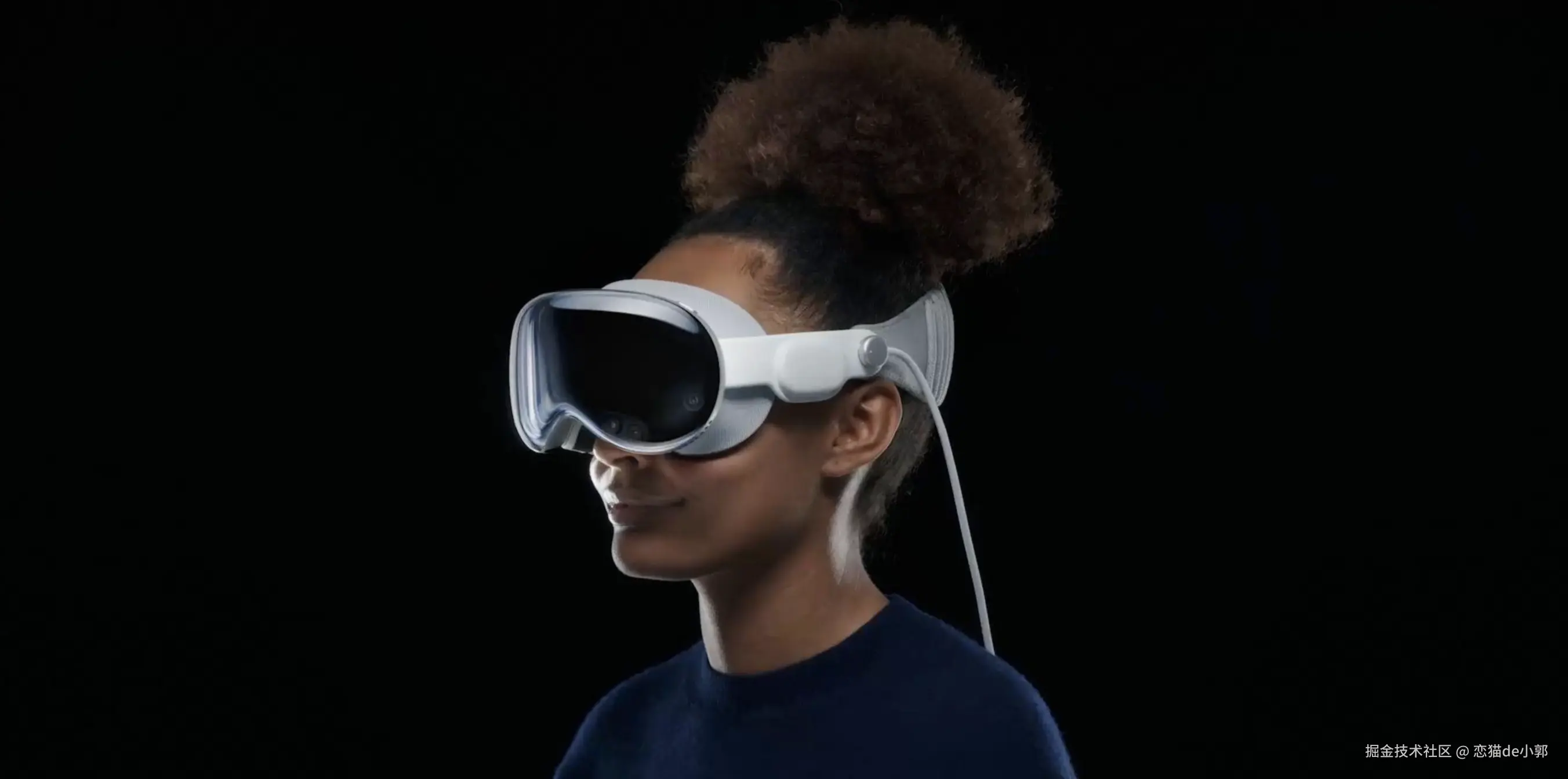Vision Pro