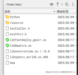 image-20250217105907863