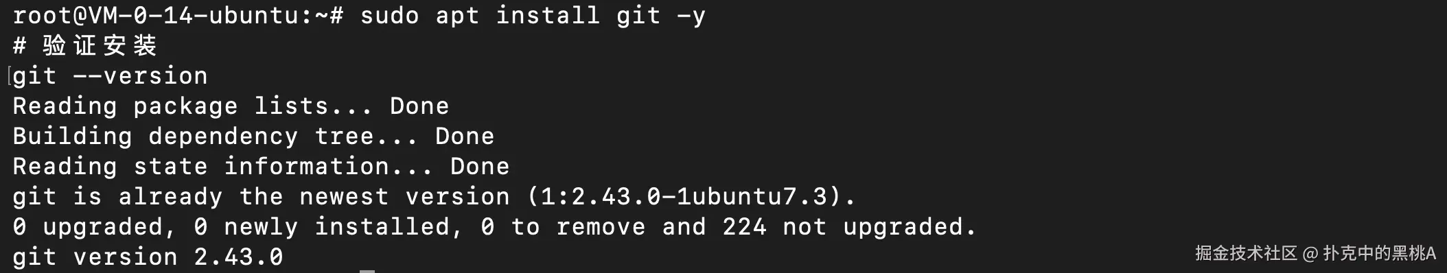 image-20251117010428126