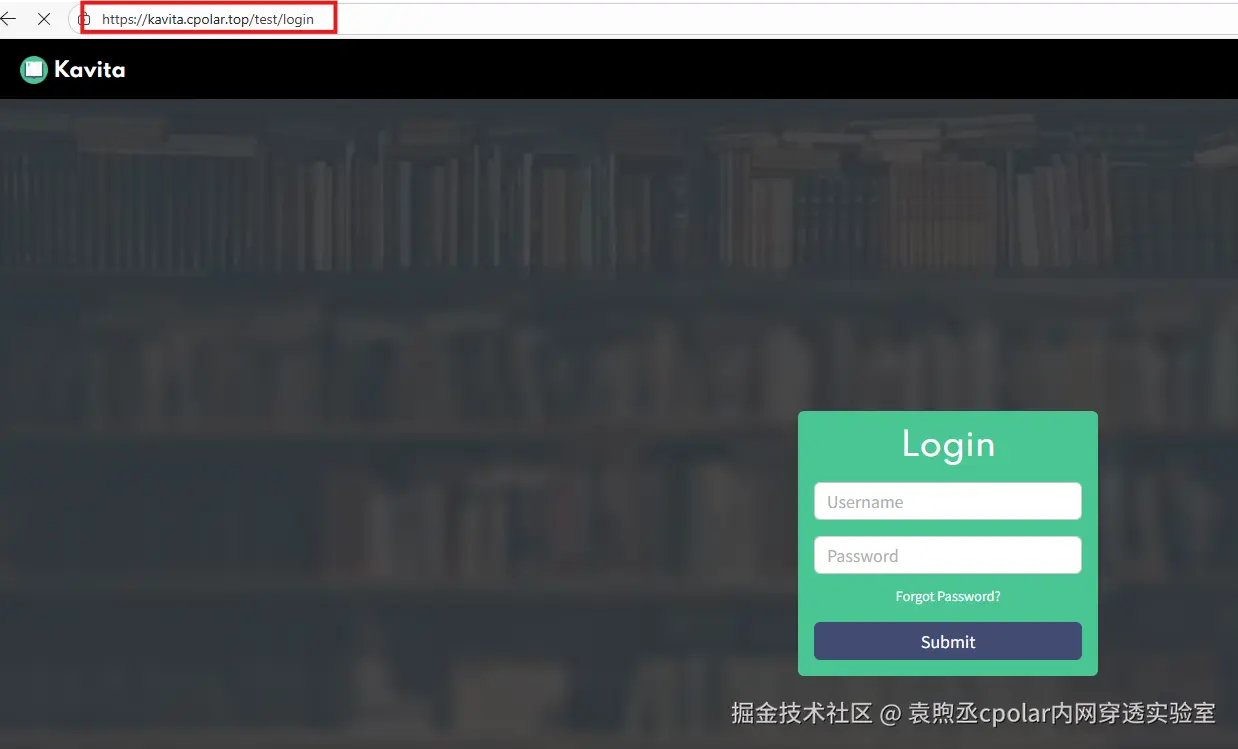 image-20250805170157236