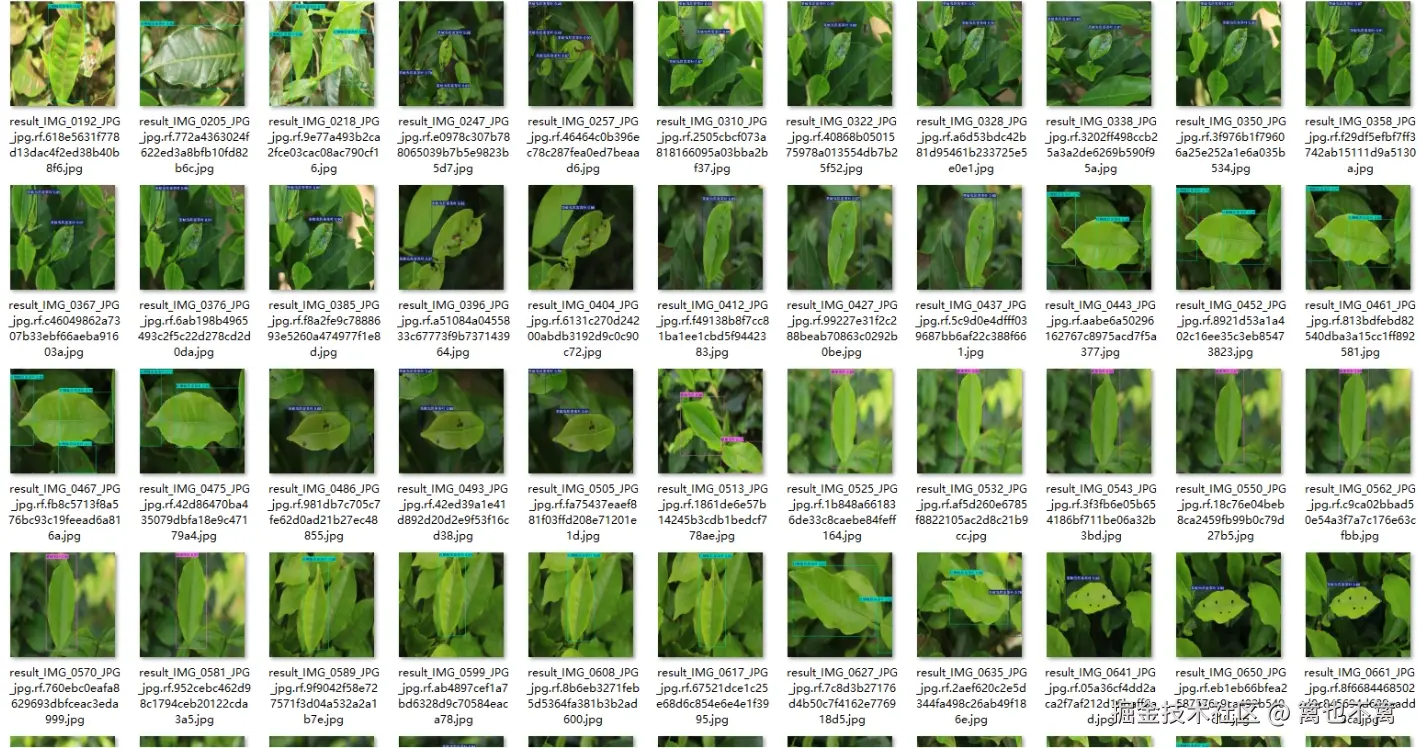 image-20250907203944723