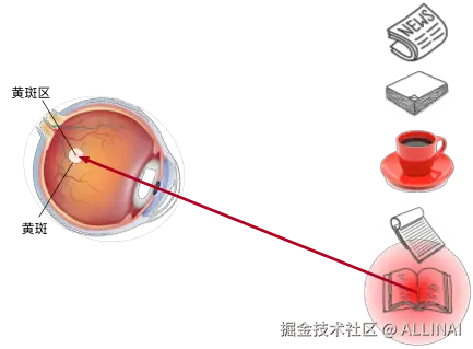 eye-book.svg