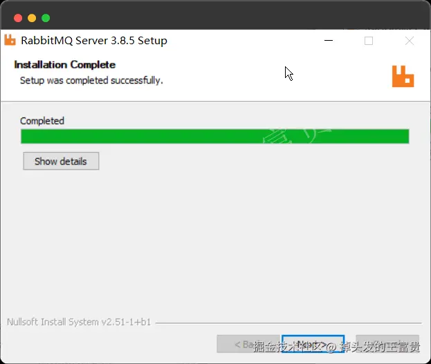 image-20240820111719063