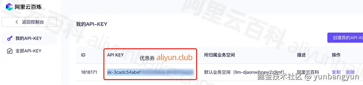 复制保存API KEY