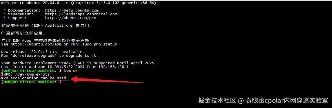 image-20240410142131130