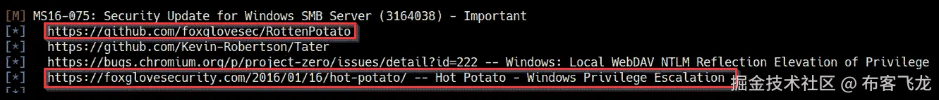 图 6.5 – Windows 漏洞建议结果    
