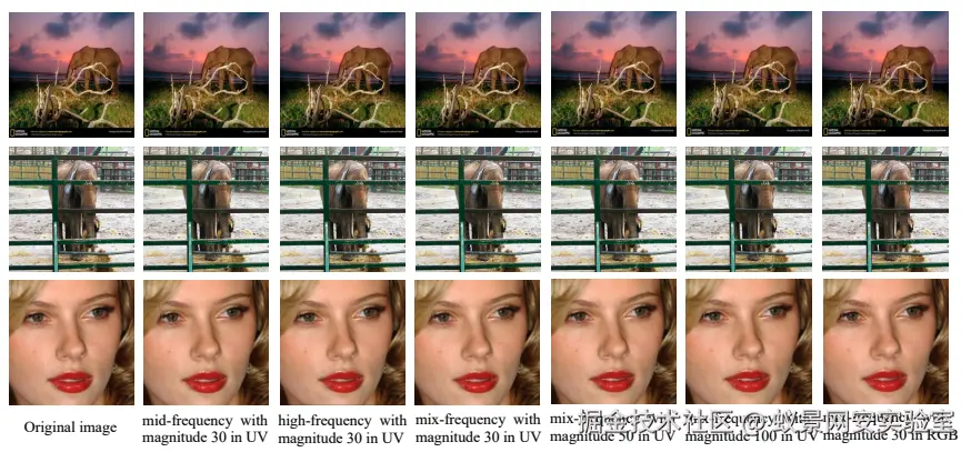 image-20240727213519644