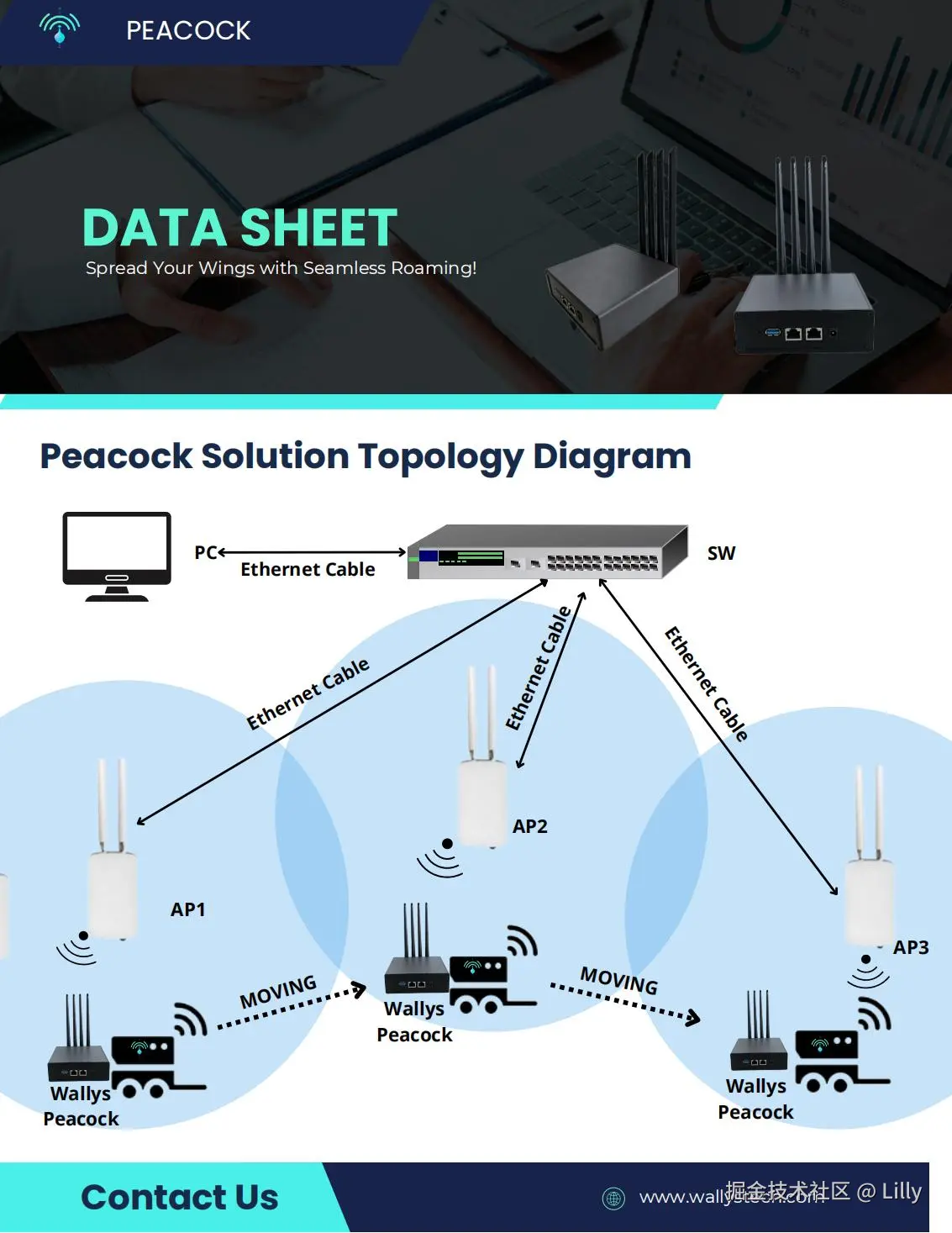 Wallys Peacock_Data Sheet_Version 1.1.0_05.jpg