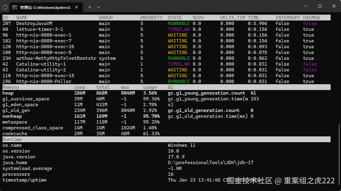 image-20250123134235112