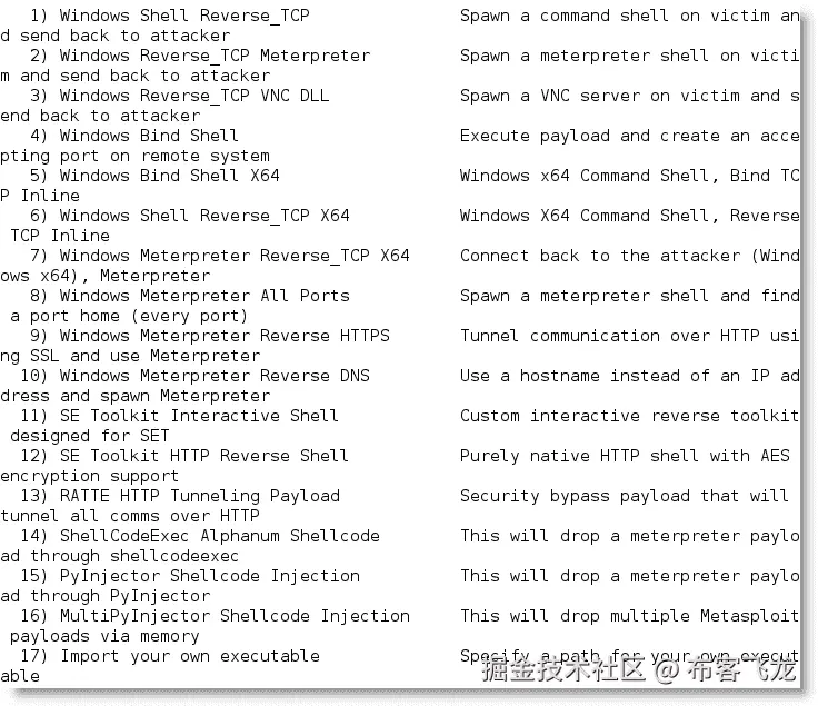使用网站攻击向量 - Java 小程序攻击方法