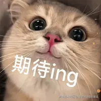 qidai.png