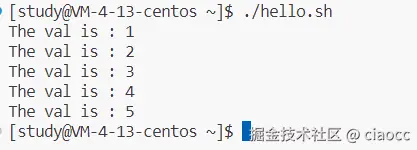 image-20240108160639073