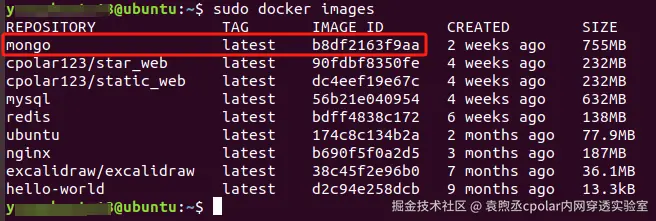 image-20240221135030232