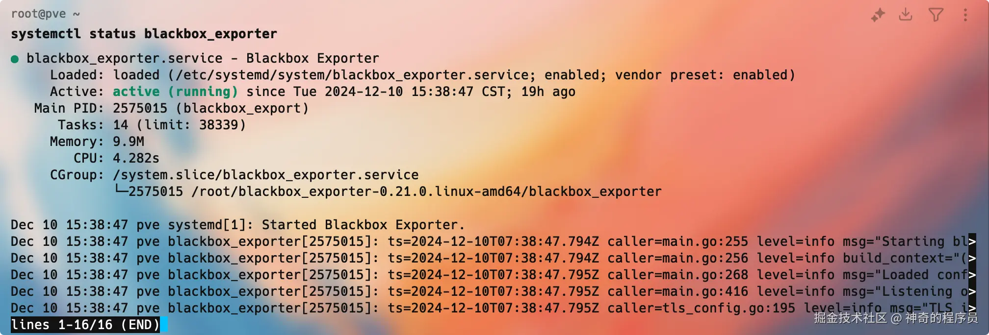 image-20241211111158613