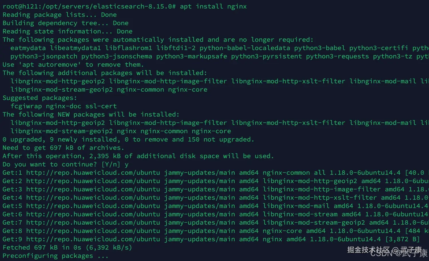 安装NGINX