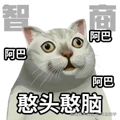 991BB03F826C0576A689548B3F8C01CA.jpg
