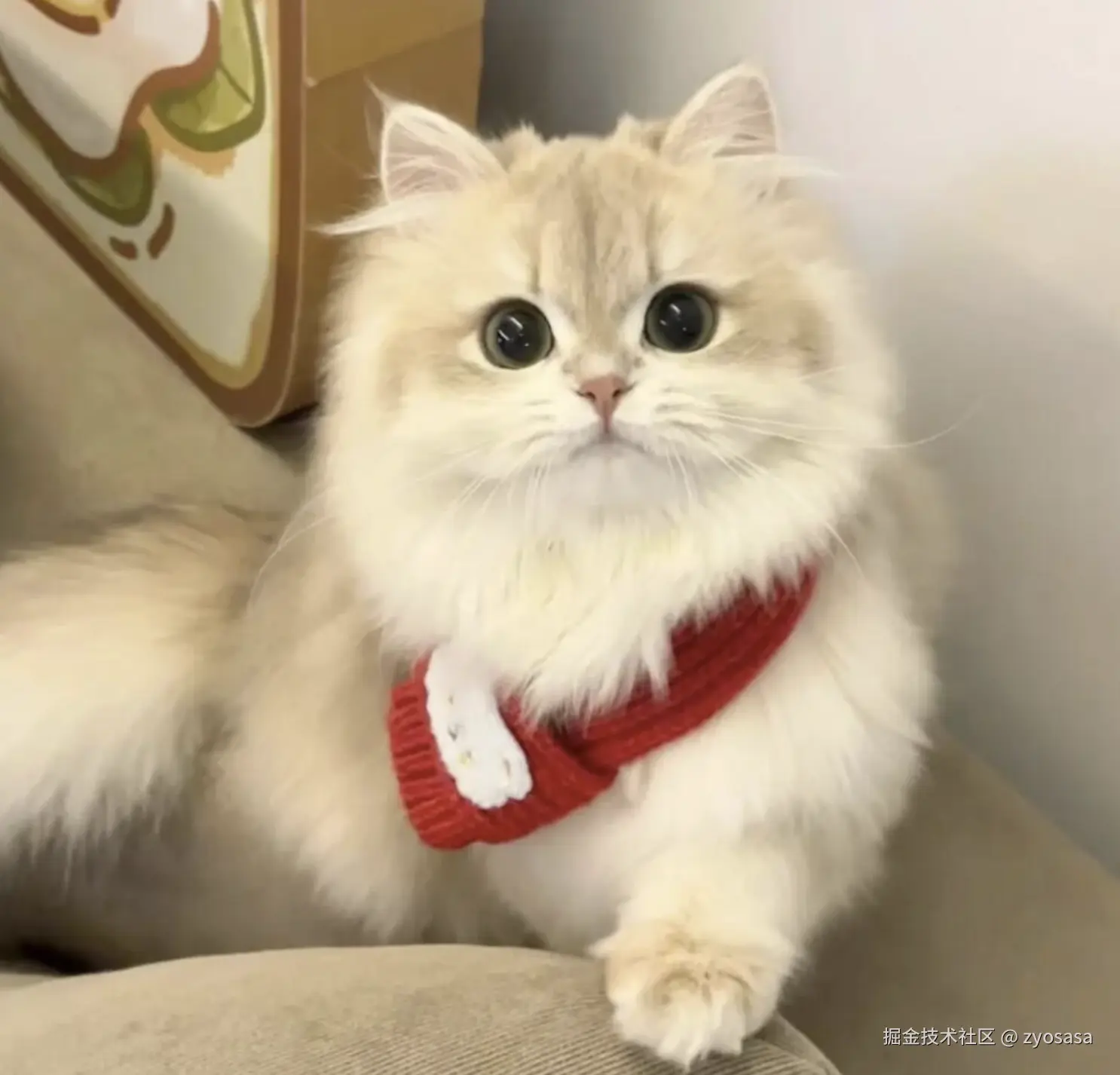 CleanShot 2024-10-28 at 17.29.39@2x.png