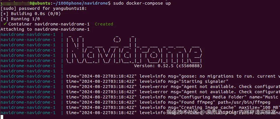 image-20240822111905554