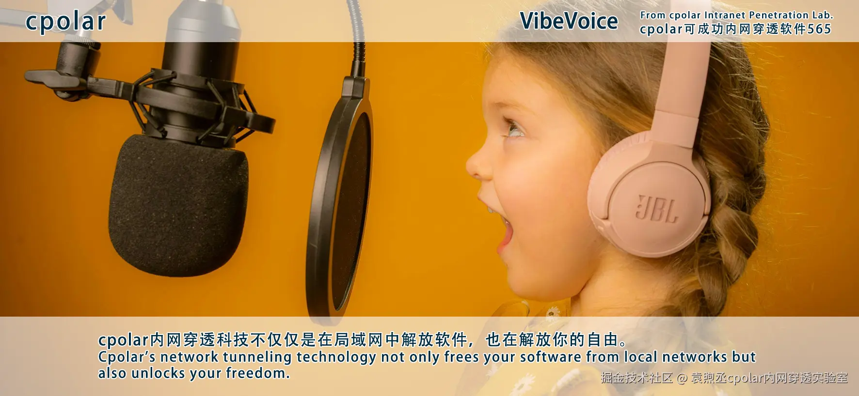 NO.565 VibeVoice-05.png