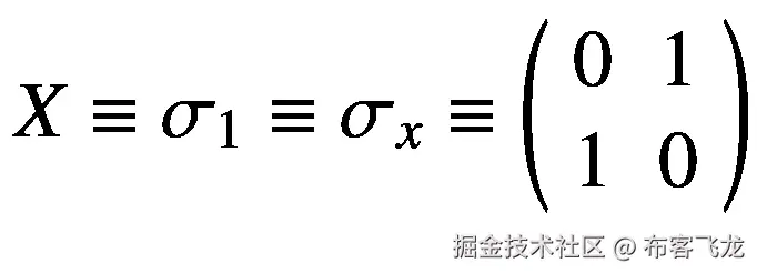 X\equiv {\sigma}_1\equiv {\sigma}_x\equiv \left(\begin{array}{cc}0&amp; 1\\ {}1&amp; 0\end{array}\right)