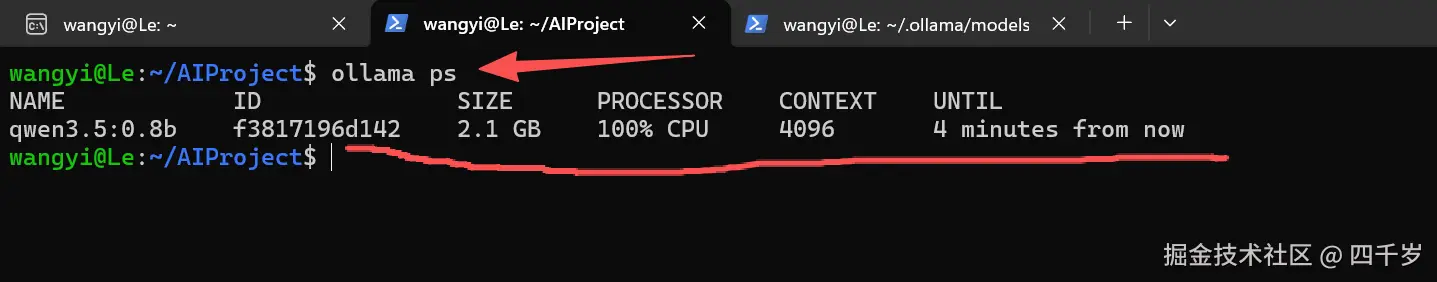 查看ollama正在运行的大模型进程信息