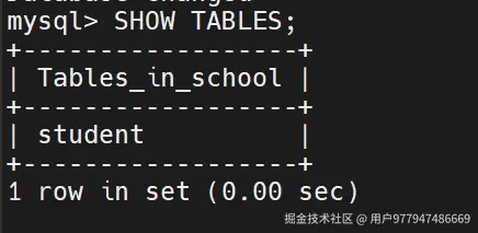 通过输入语句，查询出当前数据库所有表，当然数据库只有一张学生表。