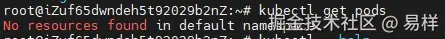 jenkins_kubectl_get_pods.png