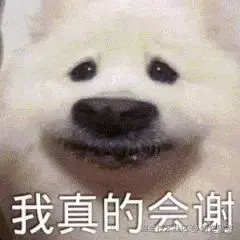 动图封面