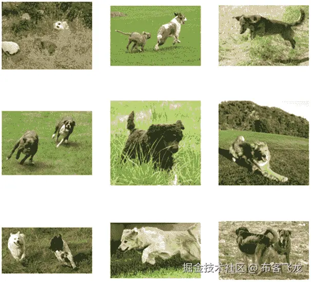 一幅奔跑狗的拼贴图  自动生成的描述