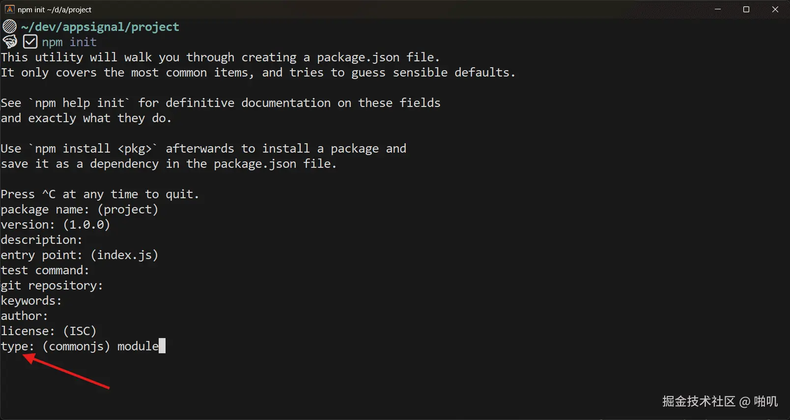 npm init新增类型提示