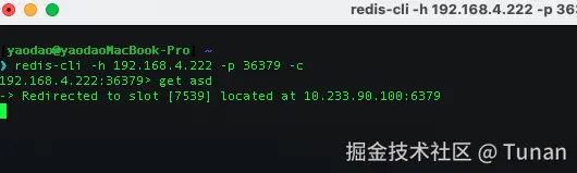 image-20240821172649484