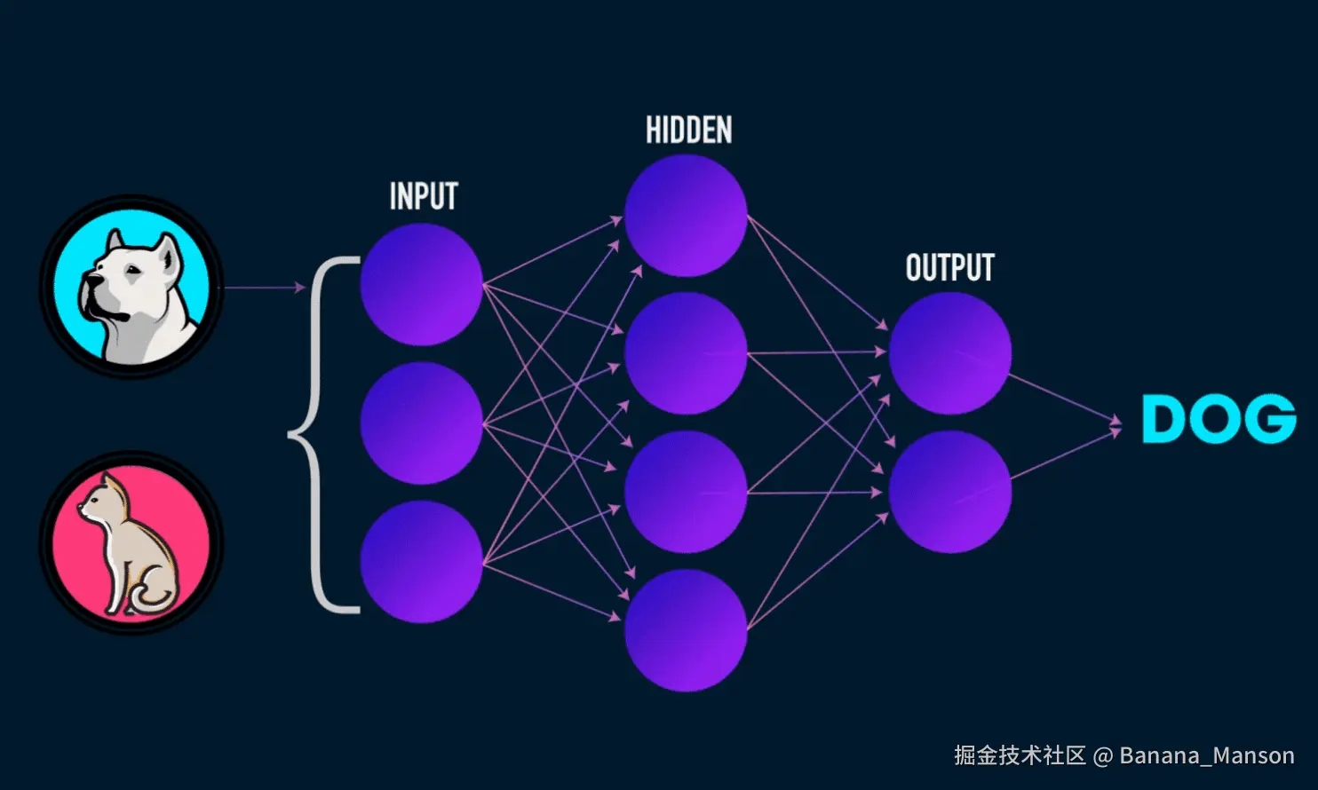 网络