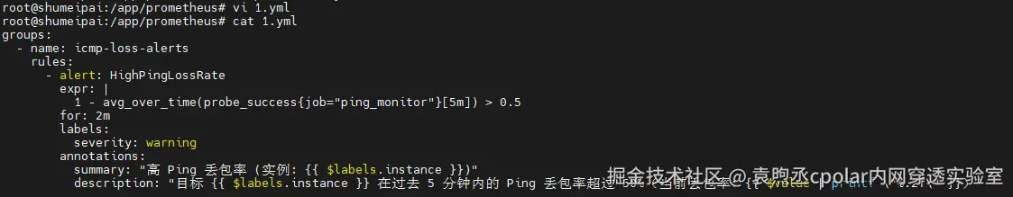 image-20251111171409566