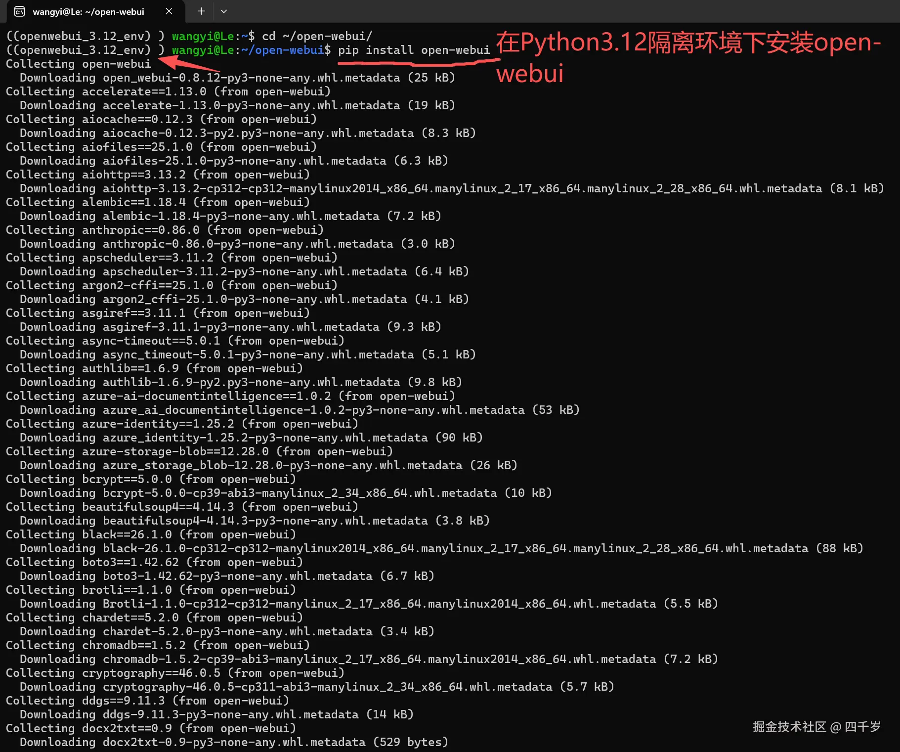 通过Python3.12版本安装open-webui