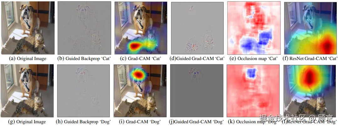 pic5 Guided Grad-CAM结果.png